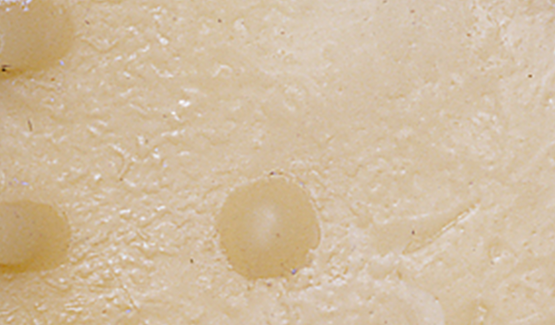 P 03/92