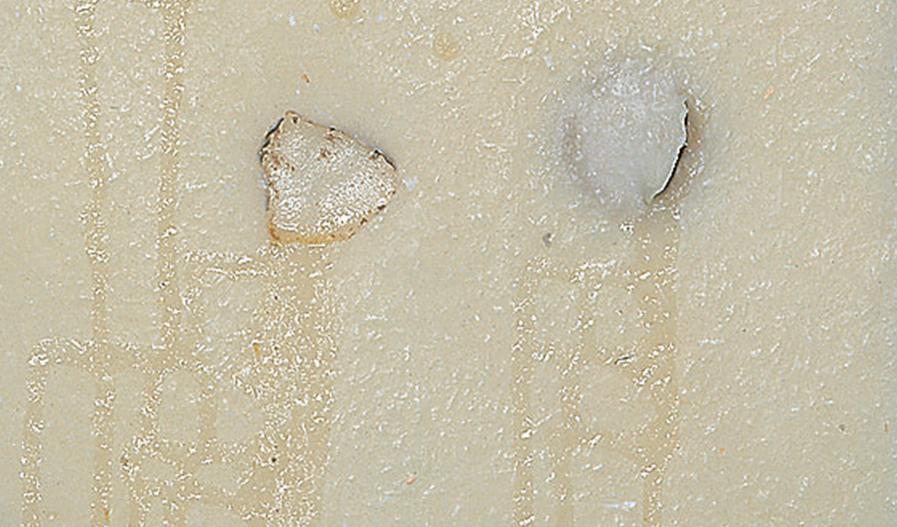 P 09/92