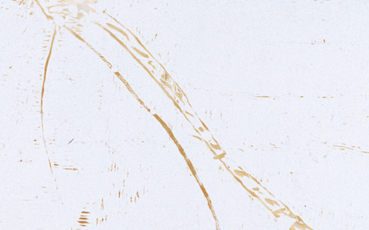 D 01/01