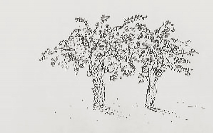 D 01/20