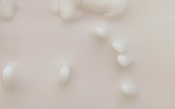 P 05/21