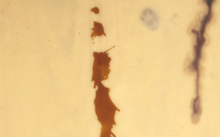 P 05/93