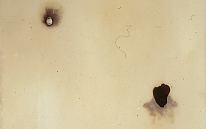 P 08/93