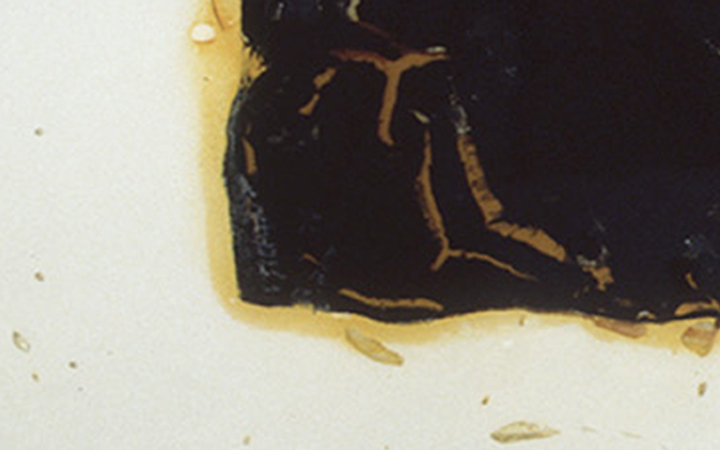 P 22/03