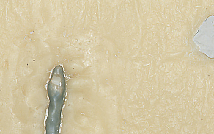 P 27/91