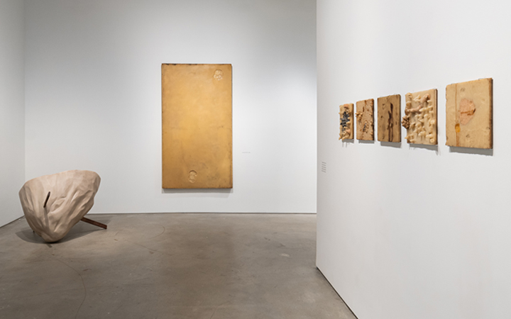 Carlito Carvalhosa: Matter as Image